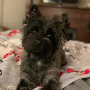 Meet your Posher, Susan